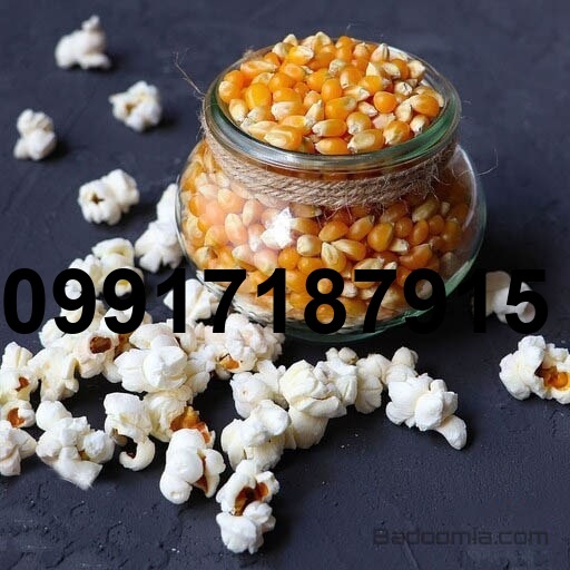 فروش ذرت پفیلا_3