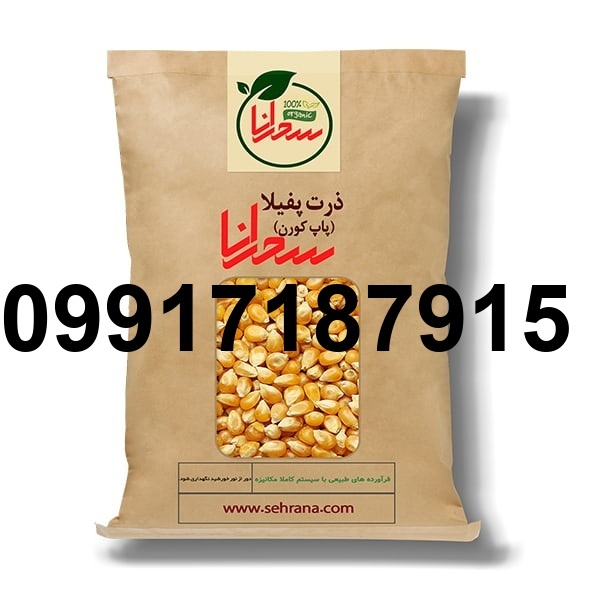 فروش ذرت پفیلا_7