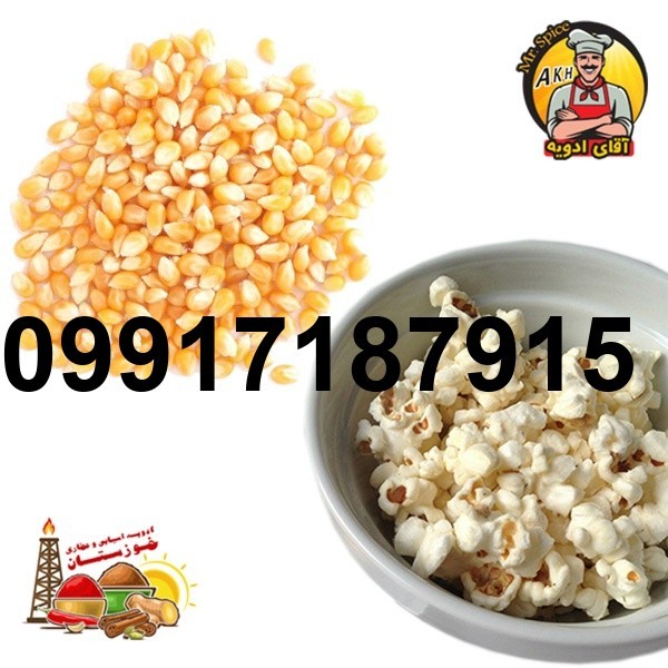 فروش ذرت پفیلا_8