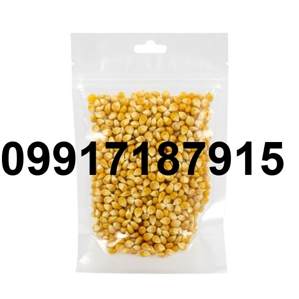 فروش ذرت پفیلا_9