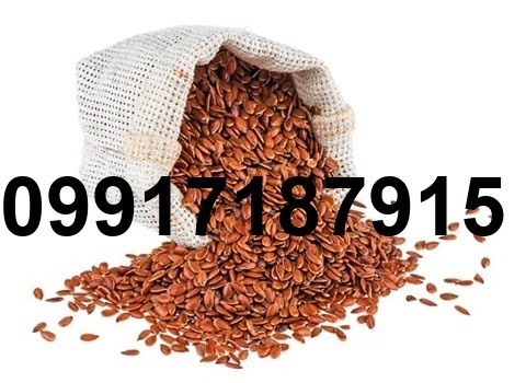 فروش عمده تخم کتان_10