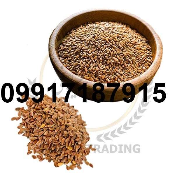 فروش عمده تخم کتان_8
