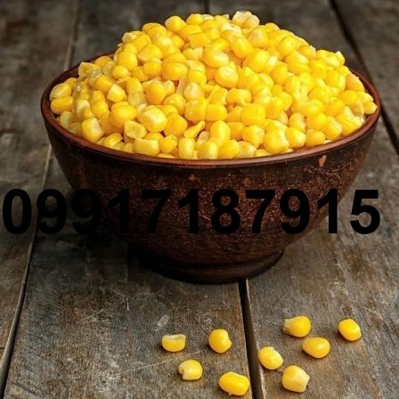 فروش عمده ذرت_10