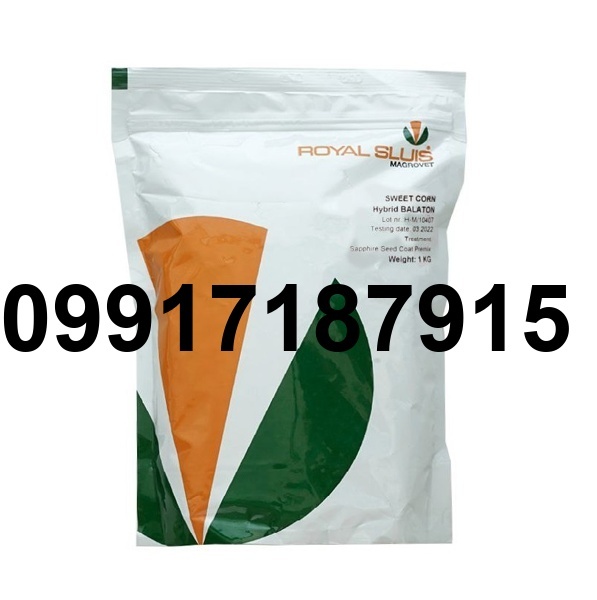 قیمت بذر ذرت شیرین_5