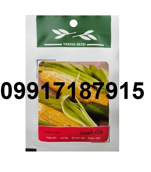 قیمت بذر ذرت شیرین_6