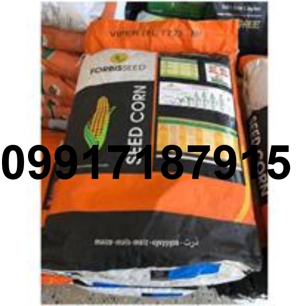قیمت بذر ذرت هکتور_5