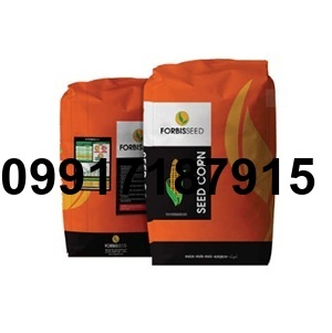 قیمت بذر ذرت هکتور_6
