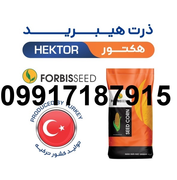 قیمت بذر ذرت هکتور_7