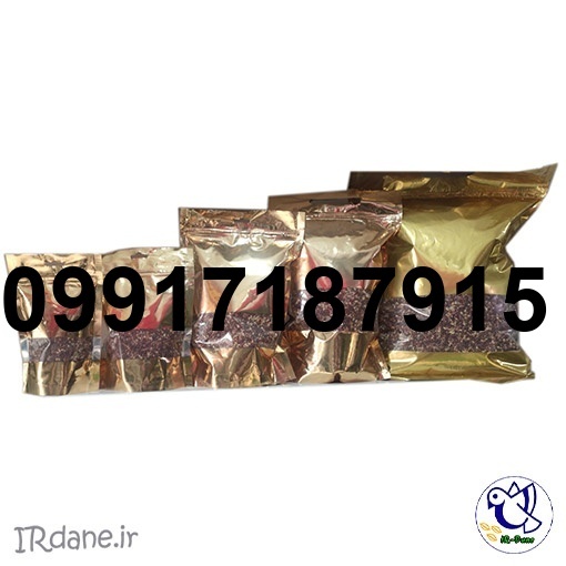 قیمت تخم جارو برای کبوتر_9
