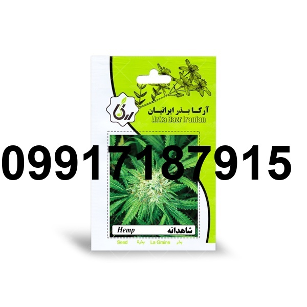 قیمت تخم شاهدانه_2