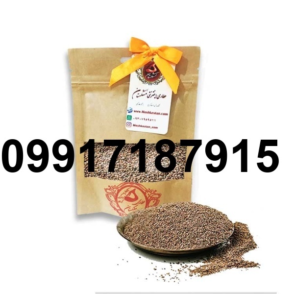 قیمت تخم منداب_1