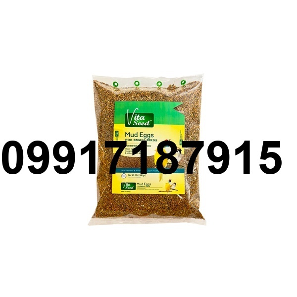 قیمت تخم منداب_9