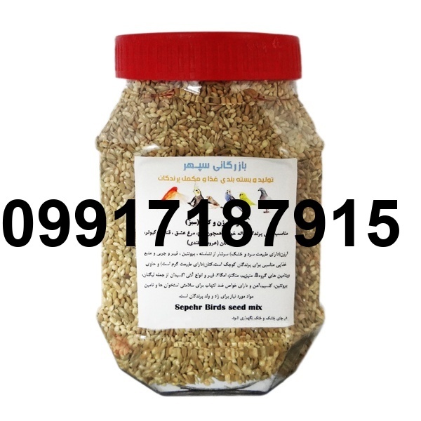 قیمت تخم کتان برای عروس هلندی_8