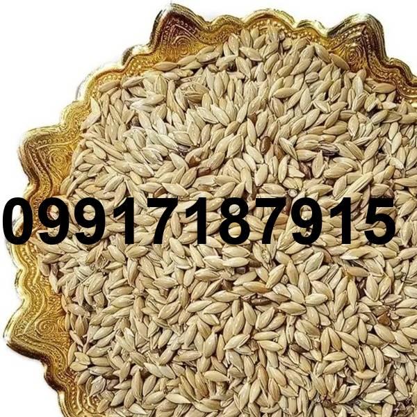 قیمت تخم کتان برای پرنده_3