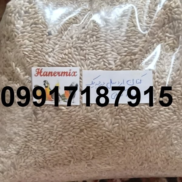 قیمت تخم کتان در اردبیل_10