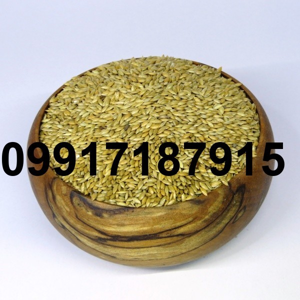 قیمت تخم کتان در اردبیل_3