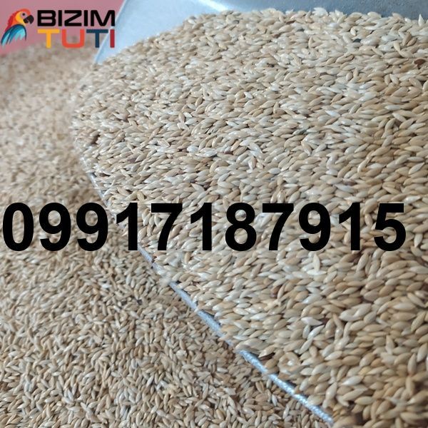 قیمت تخم کتان در اردبیل_7