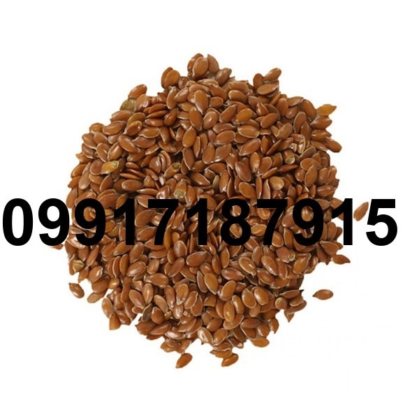قیمت تخم کتان در بازار_2