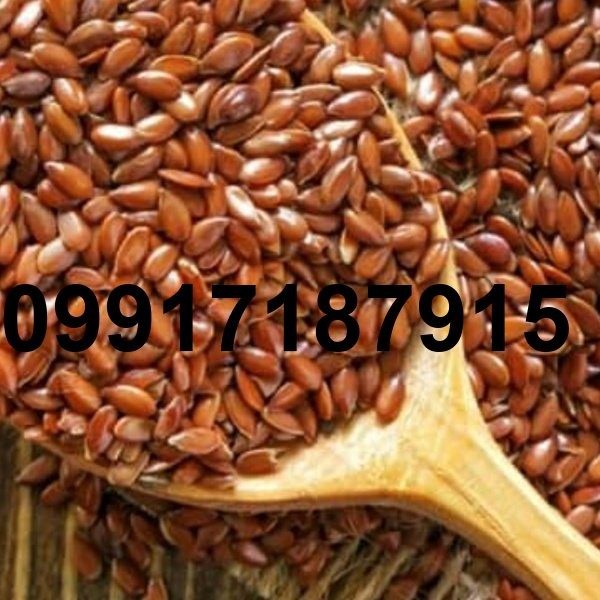 قیمت تخم کتان در بازار_4
