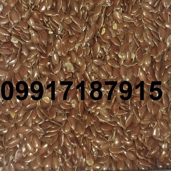قیمت تخم کتان در بازار_8