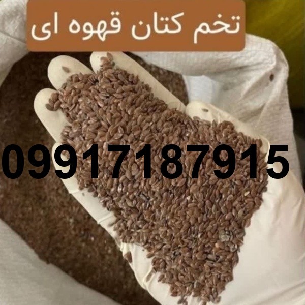 قیمت تخم کتان عمده_3