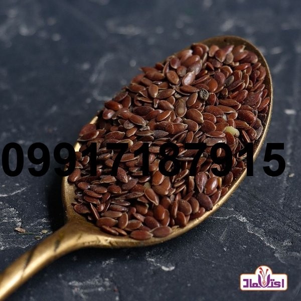 قیمت تخم کتان عمده_8