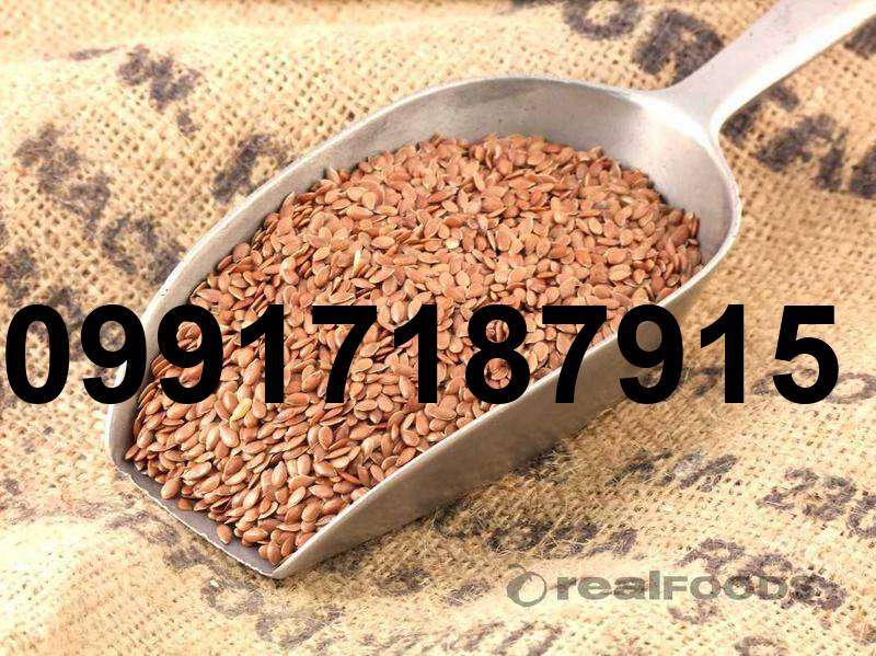 قیمت تخم کتان قناری_8