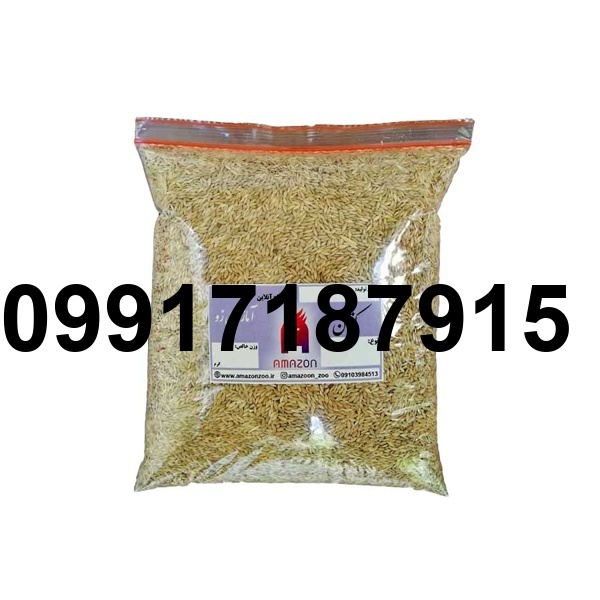 قیمت تخم کتان پرنده_10