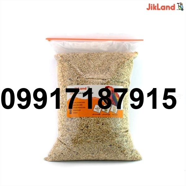 قیمت تخم کتان پرنده_3