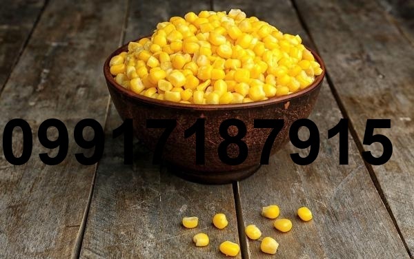 قیمت جدید ذرت دانه ای_10