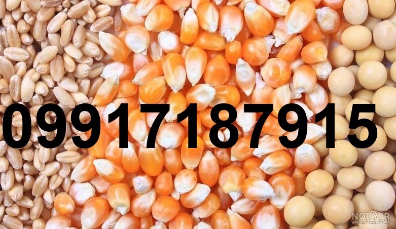 قیمت جهانی جو و ذرت_9