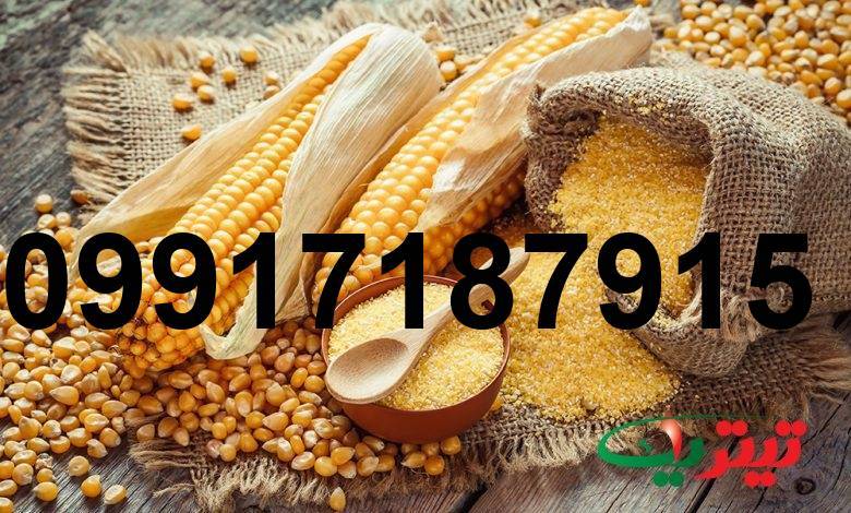 قیمت جهانی ذرت دامی روسیه_9
