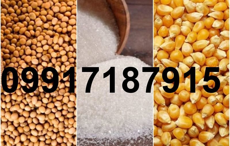 قیمت جهانی ذرت و سویا_3