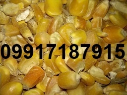 قیمت جهانی ذرت و سویا_4