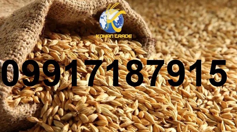 قیمت جو خارجی_1