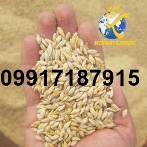 قیمت جو خارجی_2