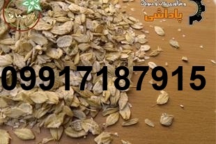 قیمت جو ذرت_7