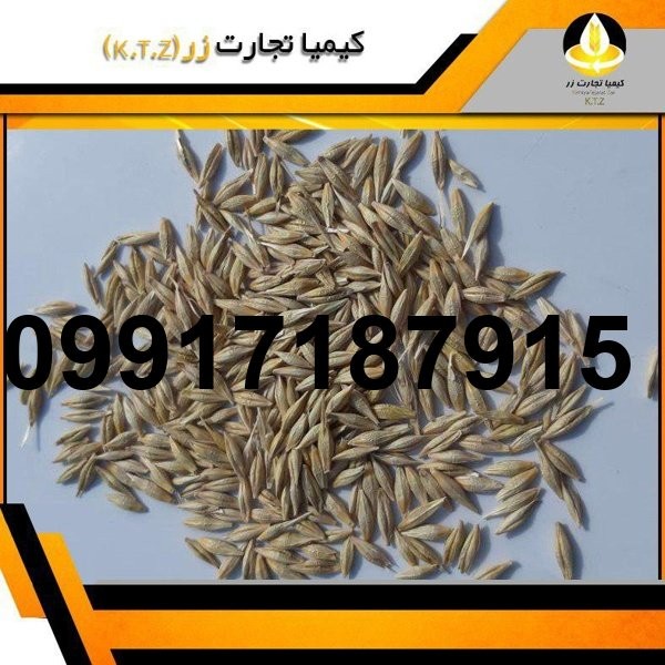 قیمت جو سال ۱۴۰۴_10