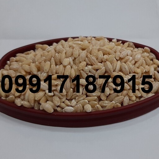 قیمت جو سفید_1