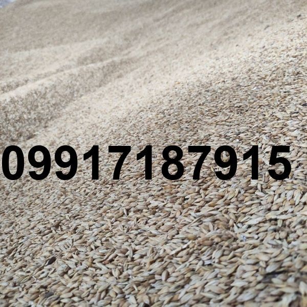 قیمت جو سفید روسیه_10
