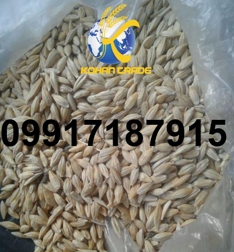 قیمت جو سفید روسیه_8