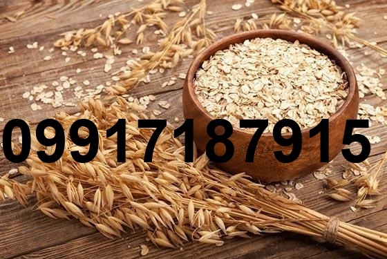 قیمت جو عمده_10