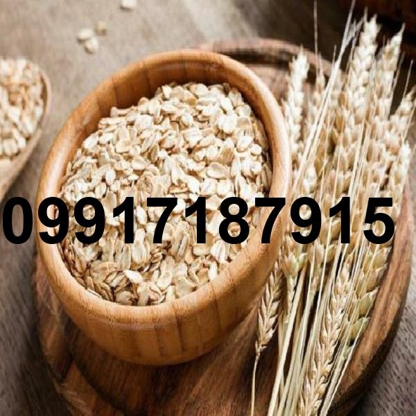 قیمت جو عمده_5
