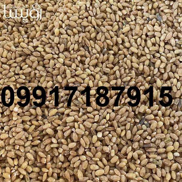 قیمت جو عمده_6