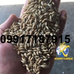 قیمت جو وارداتی روسیه_10