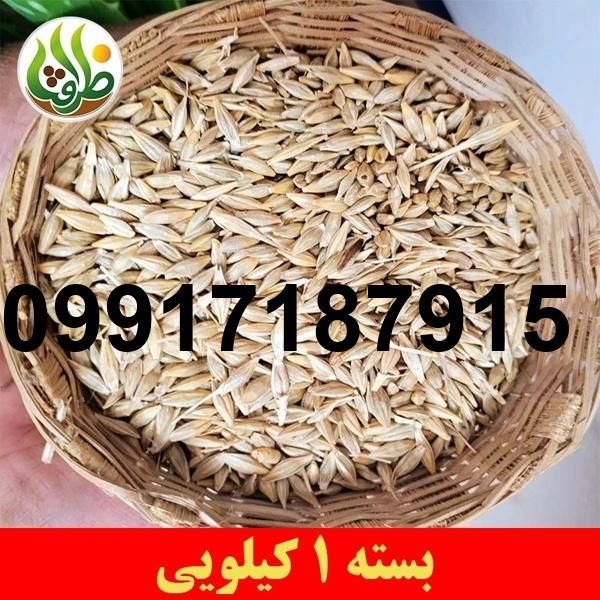 قیمت جو کیلو چنده_9