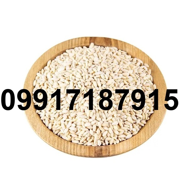 قیمت جو کیلویی_4