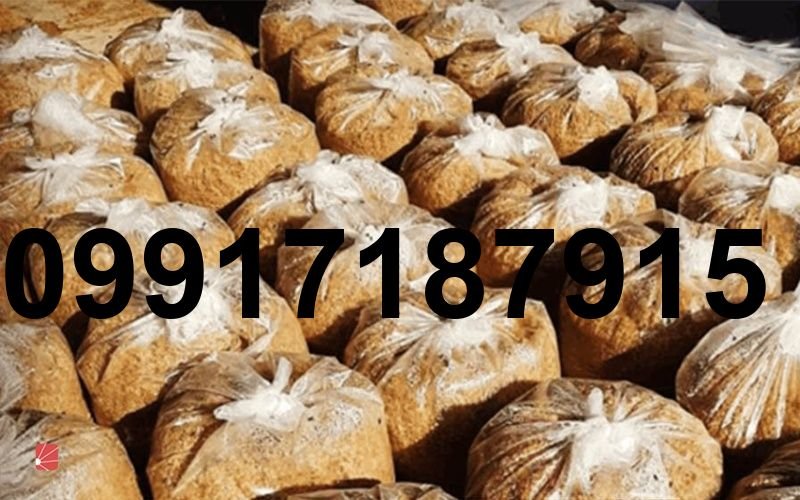 قیمت جو گوسفندی_5