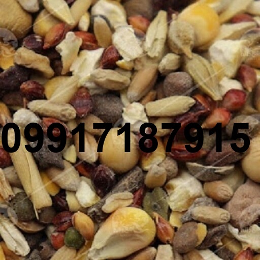 قیمت دان مخلوط کبوتر_3