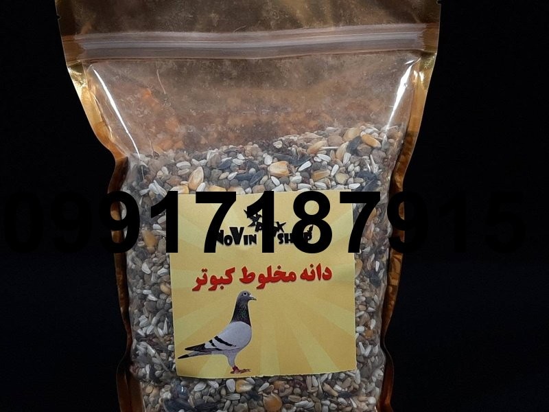 قیمت دان مخلوط کبوتر_4